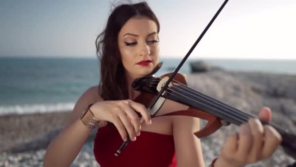 Porträt Einer Selbstbewussten Inspirierten Frau Die Freien Geige Spielt Absorbierter — Stockvideo