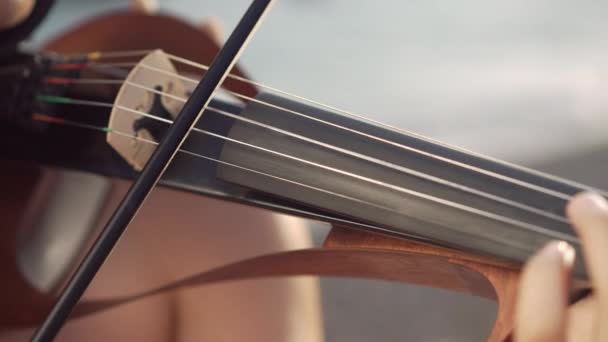 在室外弹奏乐器弦乐的女性手中握着特写小提琴弓 难以辨认的白人天才女士在阳光下欣赏音乐 — 图库视频影像