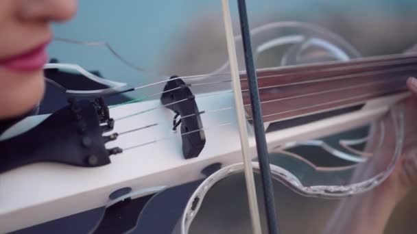 Violino Close Mãos Mulher Sorridente Irreconhecível Tocando Instrumento Corda Com — Vídeo de Stock