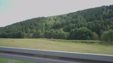 Dağlarda yeşil kozalaklı bir orman ve önünde yaprak döken ağaçlar var. Avrupa 'nın açık hava manzarası otomobil çekim görüntüsü