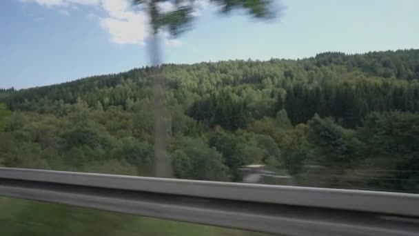Samochodowy Pov Krajobrazu Zielonymi Wiosennymi Drzewami Latem Przechodzącymi Zewnątrz Drogi — Wideo stockowe