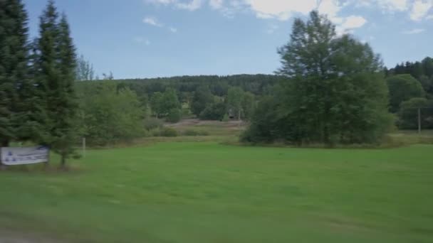 Caméra Direct Long Prairie Verte Forêt Jour Printemps Été Extérieur — Video