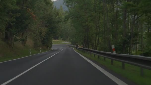 Chauffeur Pov Paardrijden Smalle Serpentine Weg Bergen Met Groene Zomer — Stockvideo