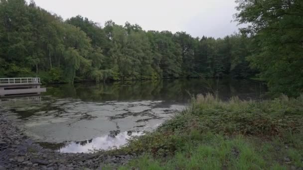 Lake Green Deciduous Forest Mountains Wide Shot Overcast Cloudy Day — Stock Video