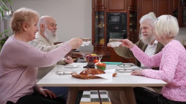 侧观快乐的老夫妇们坐在餐桌边聊天 一边用茶杯互相祝酒 积极的白人老朋友周末在室内吃午饭 — 图库视频影像