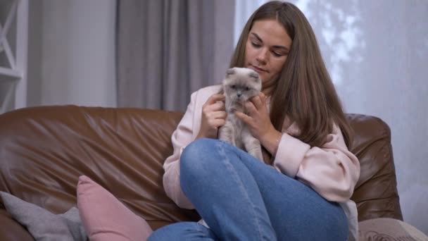 Gelukkig Ontspannen Vrouw Strelen Kitten Praten Slow Motion Zitten Comfortabele — Stockvideo