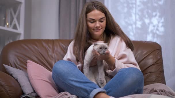 Krásná Běloška Usmívá Hladí Koťátko Sedící Útulném Obývacím Pokoji Pohodlném — Stock video
