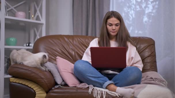 Ung Avslappnad Kvinna Surfa Internet Laptop Med Lugn Katt Sitter — Stockvideo