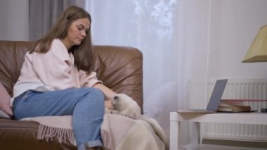 Solda oturan genç bir kadın tüylü kediciği ağır çekimde okşuyor. Oturma odasındaki kanepede kediyi okşayan beyaz kadının yan görünümü.