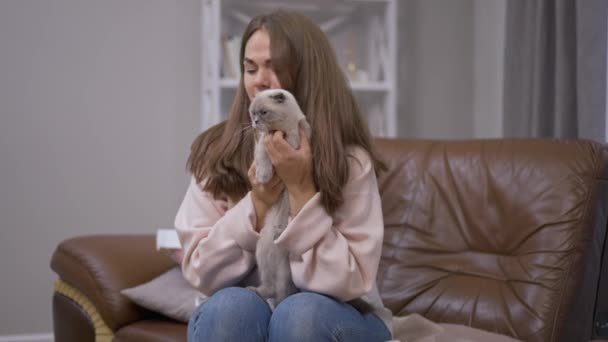 Nysningar Ung Kvinna Sitter Med Katt Hemma Som Husdjur Flyr — Stockvideo