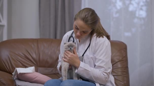 Joven Veterinaria Hembra Vising Gato Casa Interiores Retrato Mujer Caucásica — Vídeos de Stock