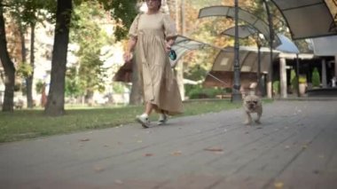 Meraklı yaşlı köpek, şehir parkında olgun beyaz bir kadınla kameraya bakıyor ve gidiyor. Evcil hayvan ve sahibinin açık havada yürüme portresi.
