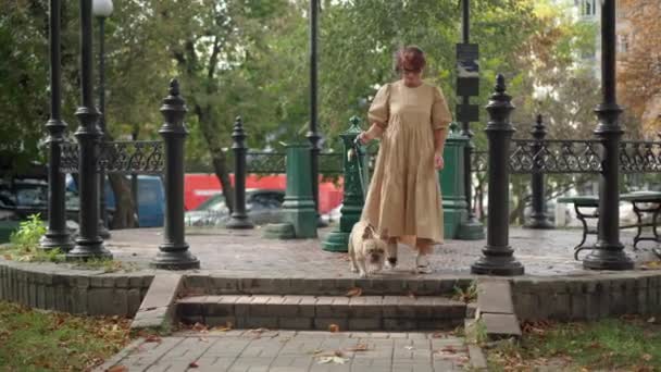 Широкий Снимок Элегантной Зрелой Белой Женщины Гуляющей Городском Парке Собакой — стоковое видео