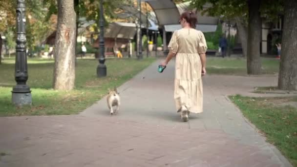 Слідкування Впевненою Зрілою Жінкою Французьким Бульдогом Комірі Прогулянки Міському Парку — стокове відео