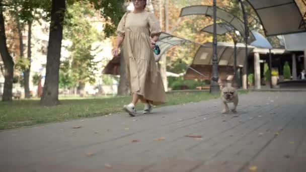 Любопытная Старая Собака Смотрит Камеру Гуляет Взрослой Белой Женщиной Городском — стоковое видео