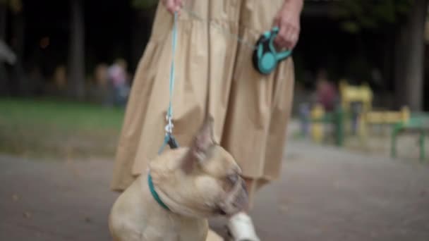 Pedestal Tiro Bulldog Francês Beco Parque Para Mulher Madura Confiante — Vídeo de Stock