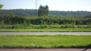 Green Park 'ta geniş bir sokak, spor ve köpek jonglörleri yavaş çekimde ayrılıyor. Beyaz tenli, sağlıklı bir adam Amerikan Staffordshire Teriyeri 'yle antrenman yapıyor.