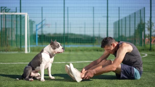 Sidovy Hund Sitter Idrottsplats Med Mannen Stretching Muskler Värmer Upp — Stockvideo