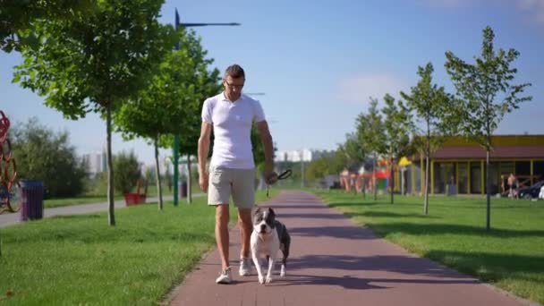 Wide Shot Portrait Satisfied Relaxed Caucasian Man Walking Dog Sunny — Stock Video