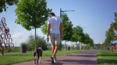 Park sokağında safkan Amerikan Staffordshire Teriyeri ile ağır çekimde dolaşan kendinden emin yetişkin bir adam. Beyaz sahibinin ve evcil hayvanın açık havada gezerken çekilmiş fotoğrafı.