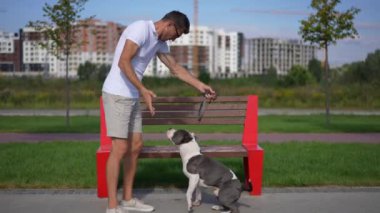 Geniş açılı adam, güneşli bir günde sokak arasında duran köpeği azarlıyor. Amerikalı Staffordshire Teriyeri 'nin kuyruğunu sallayarak evcil hayvana bağıran kızgın beyaz sahibinin yan görünümü.