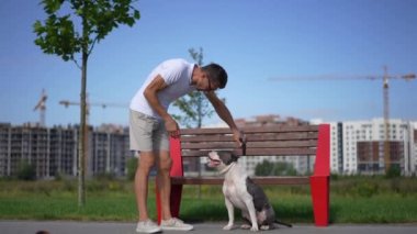 Kafkasyalı bir adam yavaş çekimde köpeğe bağırıyor ara sokakta bankta dikiliyor. Baharda evcil hayvanı azarlayan hoşnutsuz sahibinin geniş açılı yan görünüm portresi.