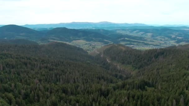 Sabah Geniş Açılı Yeşil Karpat Dağları Sakin Güzel Manzara Hava — Stok video