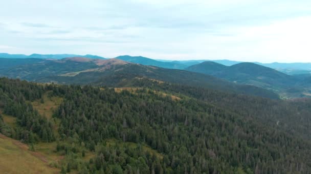 Piękny Zielony Karpacki Krajobraz Gór Dronem Latającym Nad Wzgórzami Evergreen — Wideo stockowe