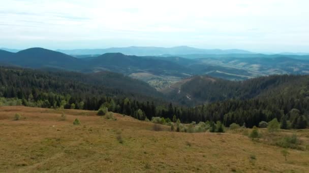 Drone Survolant Prairie Montagne Jusqu Forêt Conifères Matin Paysage Pittoresque — Video
