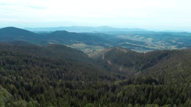 Широкий Выстрел Зеленый Лес Холмах Голубыми Карпатскими Горами Заднем Плане — стоковое видео