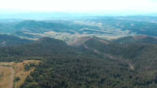 Широкий Обзор Воздуха Карпатских Гор Зелеными Хвойными Лесами Голубыми Пиками — стоковое видео