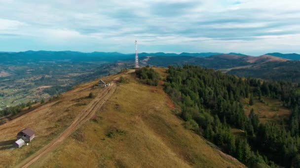 Drone Latający Nad Żółtym Szczycie Wzgórza Karpatach Ukrainie Szerokie Ujęcie — Wideo stockowe
