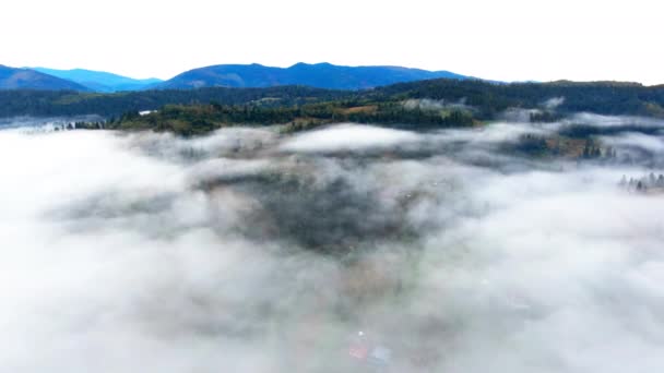 空中俯瞰蓝绿的喀尔巴阡山脉 白云笼罩群山 乌克兰广阔的风景日出 无人驾驶飞机向前飞去 — 图库视频影像