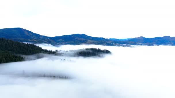 Witte Mist Blauw Groene Karpaten Bergen Bewolkte Ochtend Breed Schot — Stockvideo