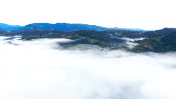 Geniş Açılı Mavi Karpat Dağları Her Yer Yeşil Orman Beyaz — Stok video