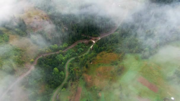 Живая Камера Масштабируется Зеленого Леса Проходя Белый Туман Наклоняющийся Голубые — стоковое видео