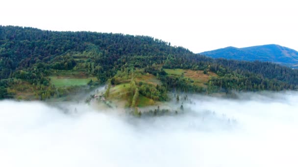 Молочно Белый Туман Над Зелеными Горами Украины Широкий Обзор Воздуха — стоковое видео