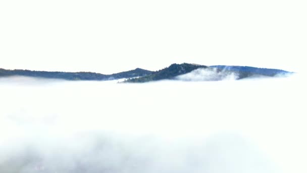 Drone Vliegt Omhoog Witte Mist Toont Groene Karpaten Bergen Mist — Stockvideo