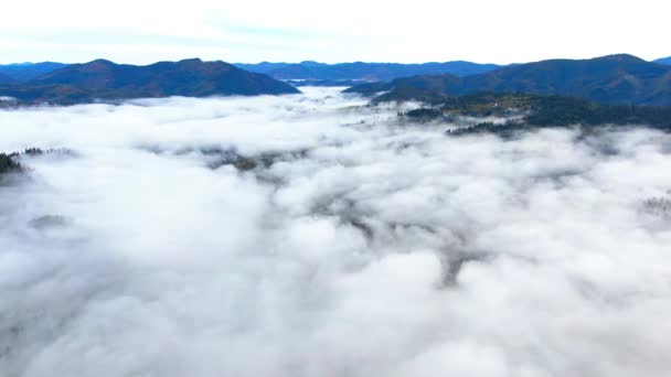 Široký Záběr Bílé Mraky Modrých Karpatských Horách Ukrajině Dron Pohled — Stock video