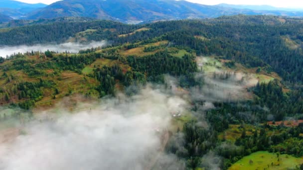 Wysoki Kąt Widok Zielony Las Karpatach Wzgórza Zewnątrz Widok Powietrza — Wideo stockowe