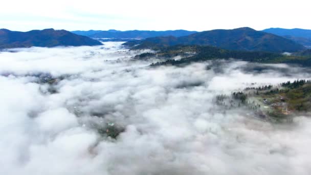 Szeroki Strzał Białe Chmury Mgły Nad Niebiesko Zielonymi Karpatami Widok — Wideo stockowe