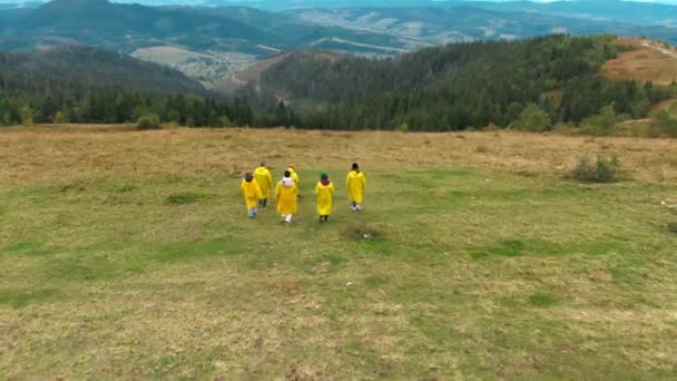 Brede Groep Mannen Vrouwen Die Wandelen Karpaten Berg Terug Uitzicht — Stockvideo