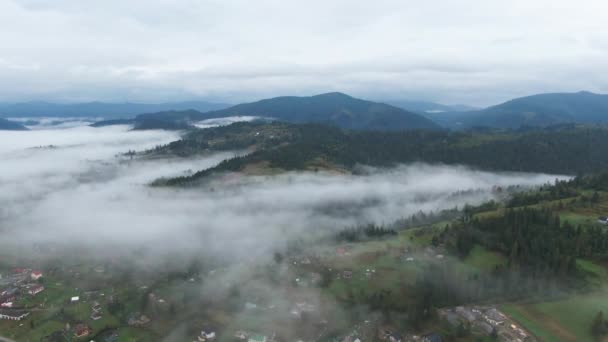 Широкий Туман Над Карпатами Пасмурное Утро Вид Воздуха Туманный Ландшафт — стоковое видео
