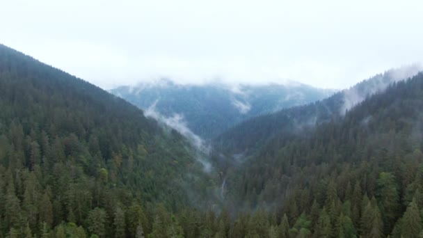 Зеленый Лес Горных Холмах Белыми Туманными Облаками Пасмурное Утро Широкий — стоковое видео