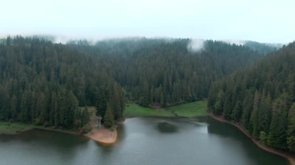 Широкий Хвойный Лес Тумане Озере Синевир Карпатских Горах Украины Живописный — стоковое видео