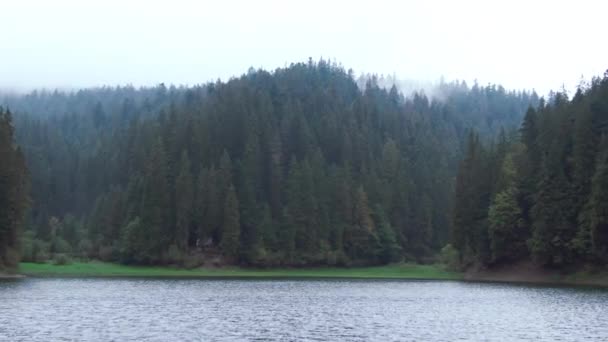 Zoom Aus Dem Grünen Wald Der Sich Zum Blauen See — Stockvideo