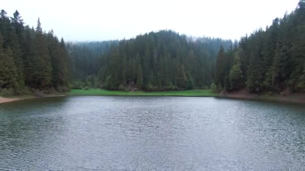 Drone Zoom Wiecznie Zielonych Drzew Nad Błękitnym Jeziorem Synevyr Karpatach — Wideo stockowe