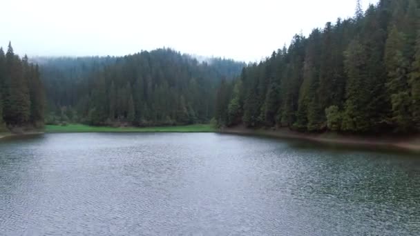 Powietrze Lecące Powrotem Widok Jezioro Synevyr Ukrainie Wielki Staw Karpatach — Wideo stockowe