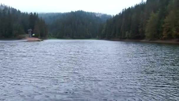 Drone Survolant Lac Synevyr Bleu Profond Forêt Sempervirente Dans Les — Video