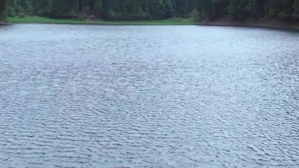 Inclinação Água Azul Lago Synevyr Ucrânia Para Árvores Perenes Que — Vídeo de Stock